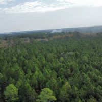 Briar Patch Tract images 4