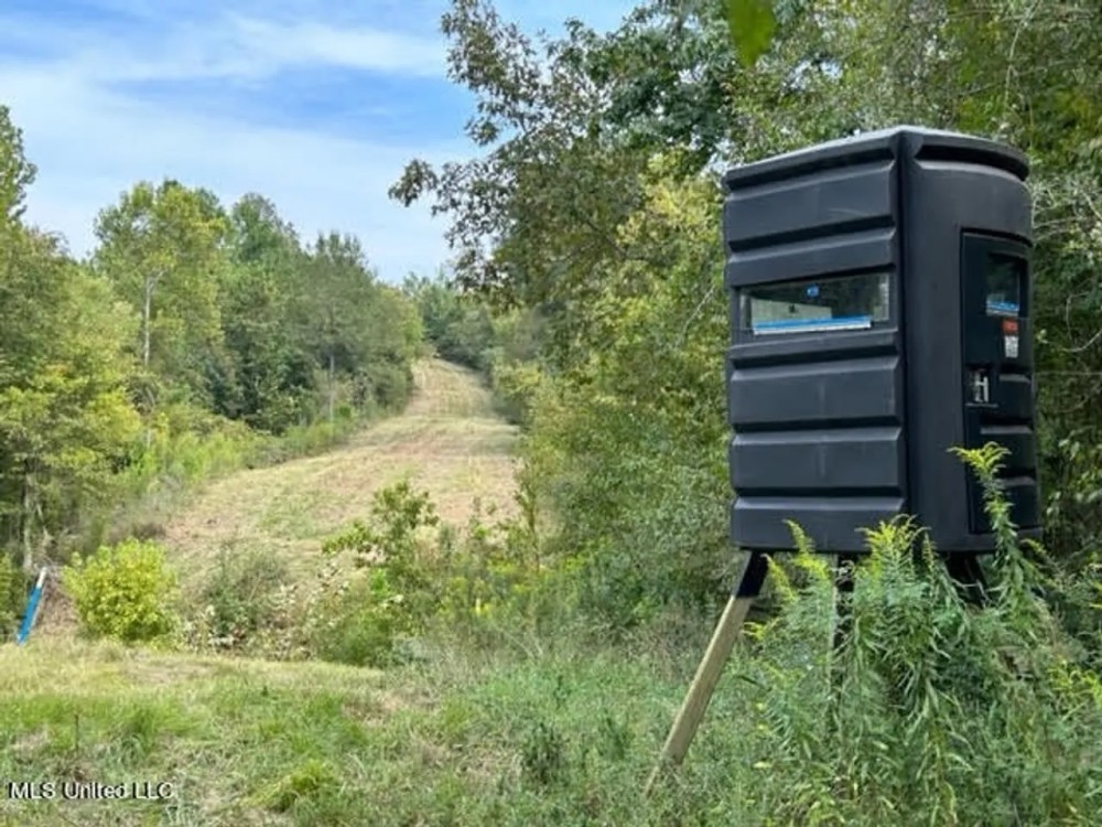 60 - Acres Yazoo City featured image