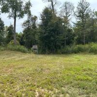 60 - Acres Yazoo City images 3