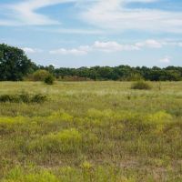 Middle Ridge Ranch images 4