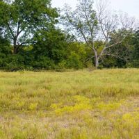Middle Ridge Ranch images 5