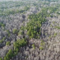 240 Acres in Webster County in Duck Hill MS images 3