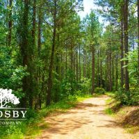 Pacolet River Tract images 2