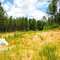 Pacolet River Tract images 3
