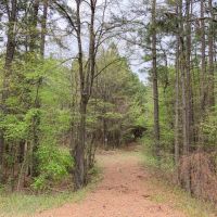 463 Acres Hwy 67 Maya 1003