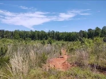 108 Acres in Simpson County in New Hebron MS featured image
