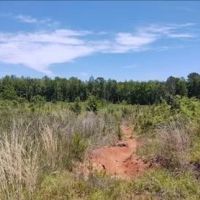 108 Acres in Simpson County in New Hebron MS images 1