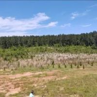108 Acres in Simpson County in New Hebron MS images 3