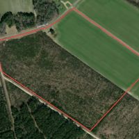 44.67 Acres or Prime Recreational or Development Land For Sale in Chowan County NC
