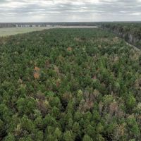 44.67 Acres or Prime Recreational or Development Land For Sale in Chowan County NC images 3
