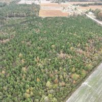 44.67 Acres or Prime Recreational or Development Land For Sale in Chowan County NC images 4