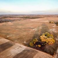 Stafford County Cropland and Oil