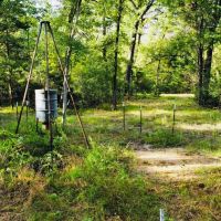 83 Acre Recreational Hunting Property Anderson County