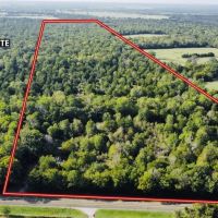 83 Acre Recreational Hunting Property Anderson County images 3
