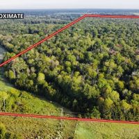 83 Acre Recreational Hunting Property Anderson County images 4