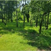 5 Acres on Old River in Concordia Parish in Vidalia MS