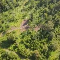 5 Acres on Old River in Concordia Parish in Vidalia MS images 4