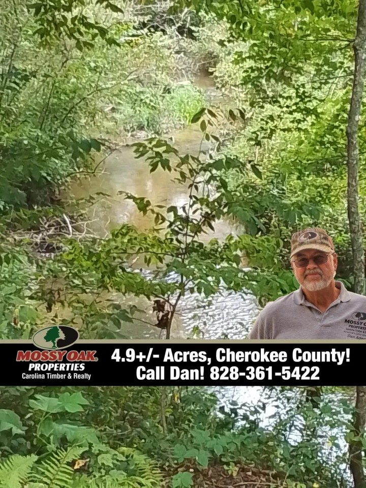 4.98 - Unrestricted Acres Creekfront featured image