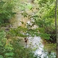 4.98 - Unrestricted Acres Creekfront images 2