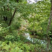 4.98 - Unrestricted Acres Creekfront images 4