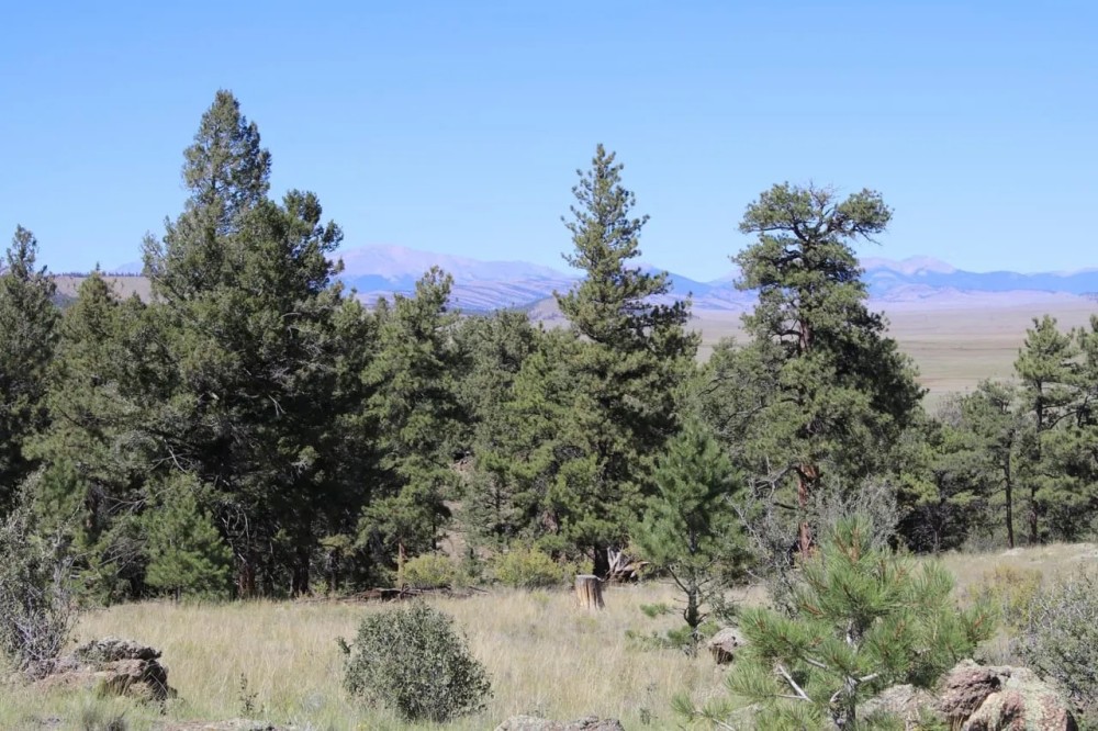 Majestic View Ranch featured image