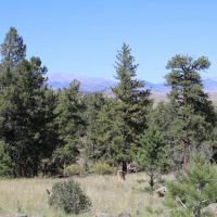 Majestic View Ranch