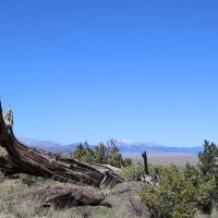 Majestic View Ranch images 2