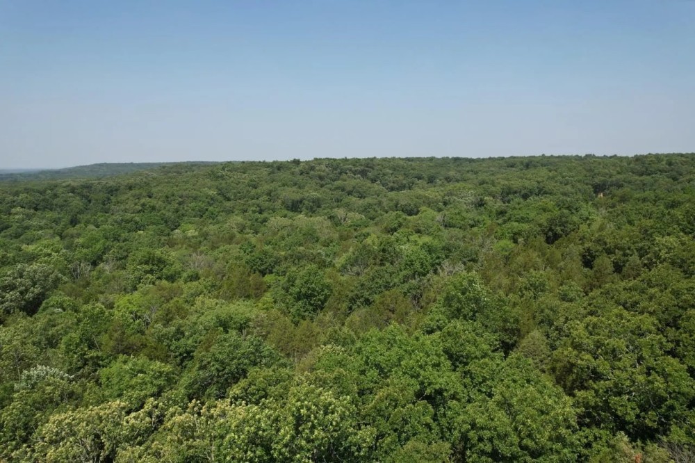 Bradley Mountain Tract 6 featured image