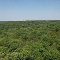 Bradley Mountain Tract 6