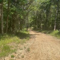 Bradley Mountain Tract 6 images 3