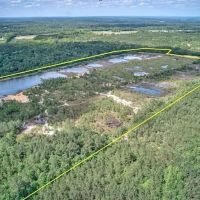 MARKET BASED PRICE IMPROVEMENT 57.35 Acres of Recreational Land with a Large Pond For Sale in Harnett County NC images 2