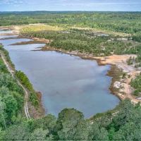 MARKET BASED PRICE IMPROVEMENT 57.35 Acres of Recreational Land with a Large Pond For Sale in Harnett County NC images 4
