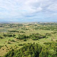Custer County Canyons and Wildlife