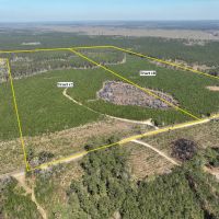 50 acres T-18 Spurger Pines North images 2