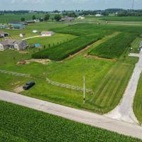 Wyandotte Rd - 20 acres - Fairfield County images 3