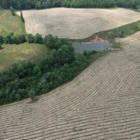 107 Acres Pastureland for Sale Southwest Mississippi images 4