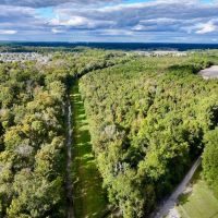 29.29 acres of Hunting and Timberland for Sale in Pitt County NC images 2