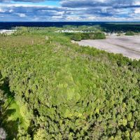 29.29 acres of Hunting and Timberland for Sale in Pitt County NC images 4