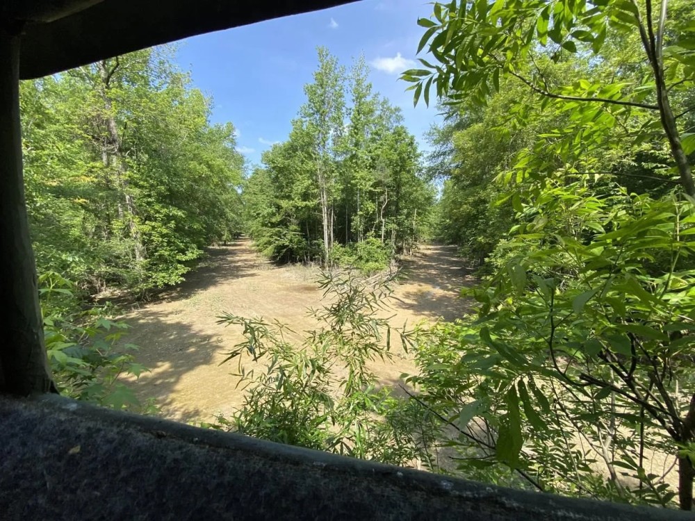 Membership Into Big Island Land Timber LLC featured image