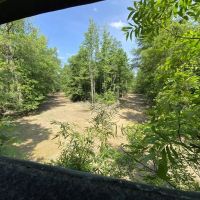 Membership Into Big Island Land Timber LLC