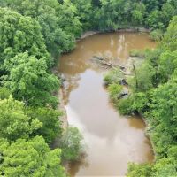 Membership Into Big Island Land Timber LLC images 4