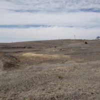 Albert s Culbertson Grass images 4
