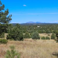 NM-337 Tijeras NM 80 acres