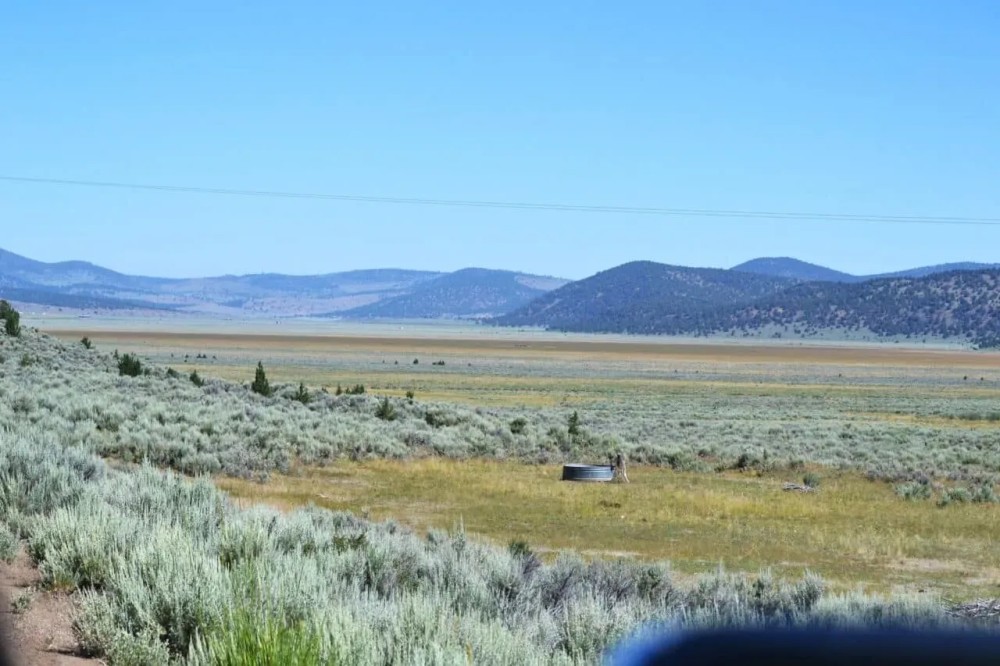 Valley View Ranch featured image