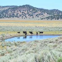 Valley View Ranch images 4