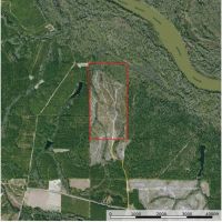 Wayne County rolling Longleaf images 3
