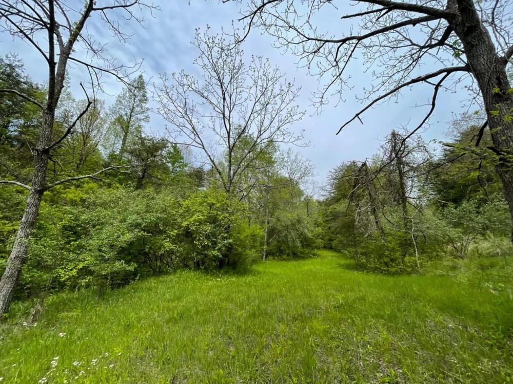 Sam Jones Rd - 35 acres - Scioto County featured image