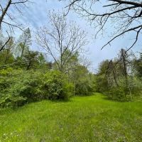 Sam Jones Rd - 35 acres - Scioto County