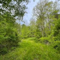 Sam Jones Rd - 35 acres - Scioto County images 2