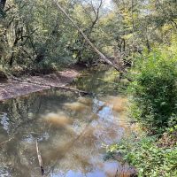 68 Arce Hunting Paradise- McShan Alabama -Pickens County AL. images 3